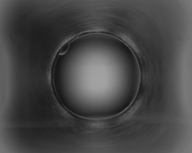 X0000100770797200806191240