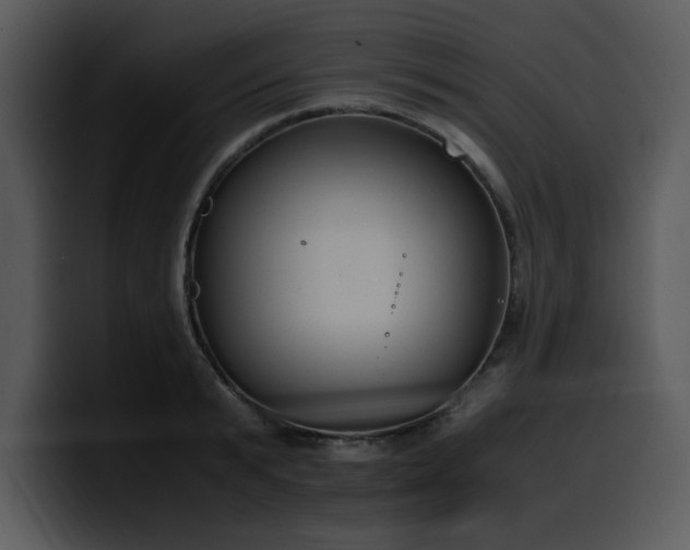 X0000100770799200806191240