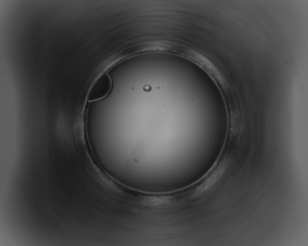 X0000100770802200806191240