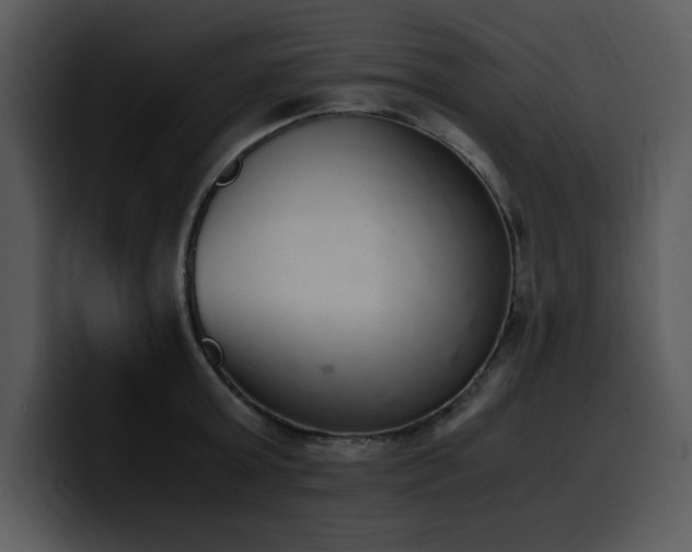 X0000100770803200806191240