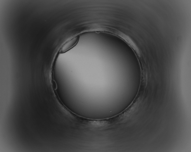 X0000100770805200806191240