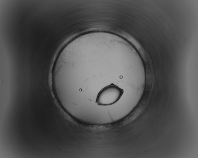 X0000100770807200806191240
