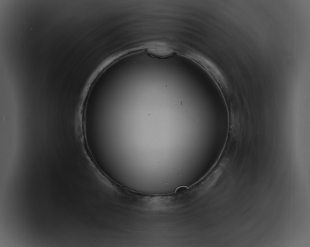 X0000100770808200806191240