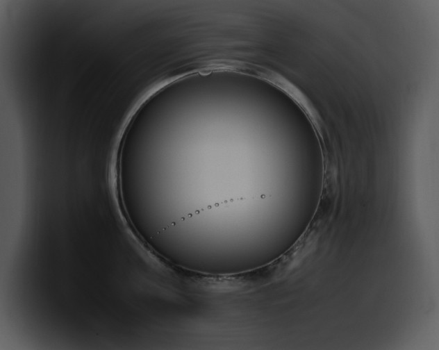 X0000100770811200806191240