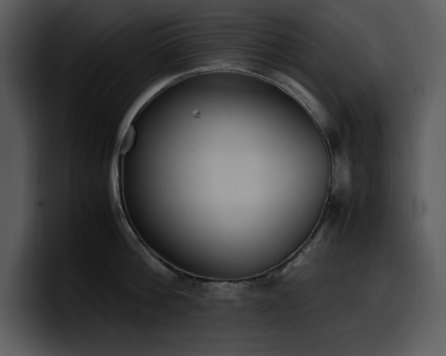 X0000100770812200806191240
