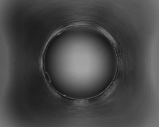 X0000100770813200806191240