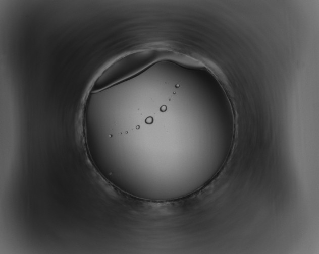 X0000100770816200806191240