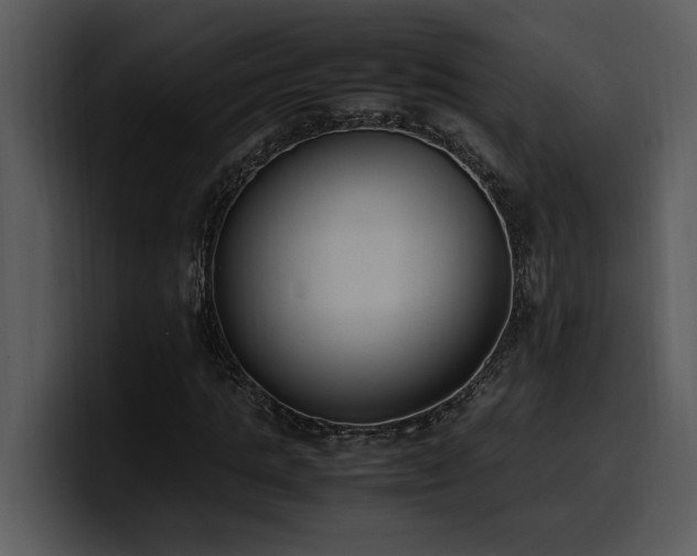 X0000100770821200806191239