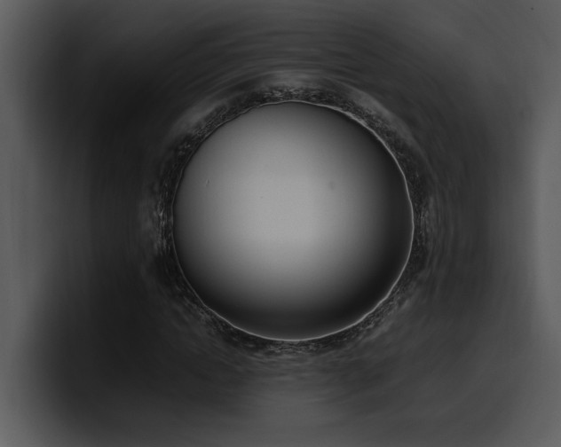 X0000100770822200806191239