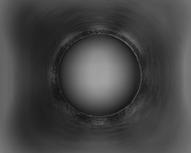 X0000100770823200806191239