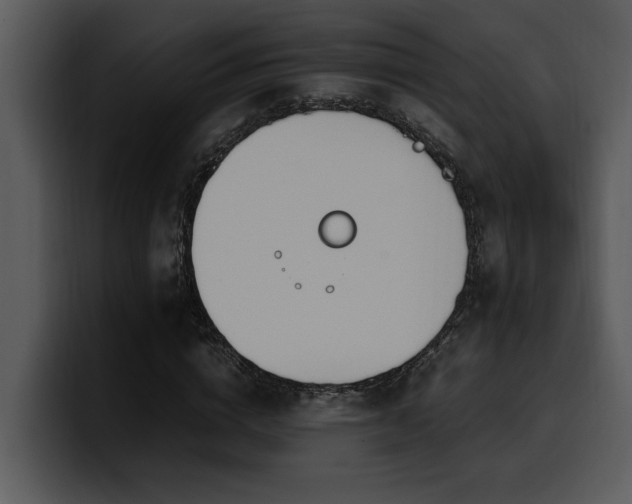 X0000100770824200806191239