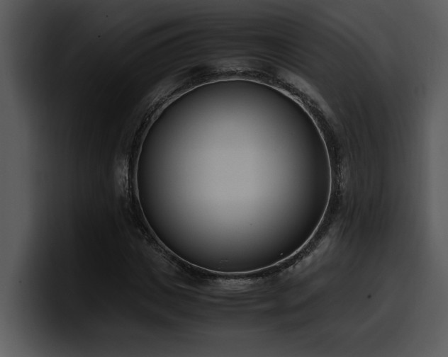 X0000100770825200806191239