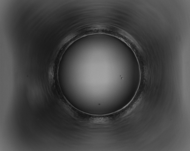 X0000100770826200806191239