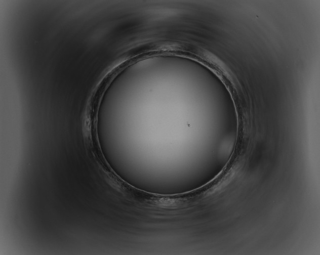 X0000100770827200806191239