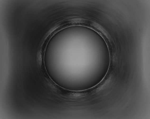 X0000100770829200806191239