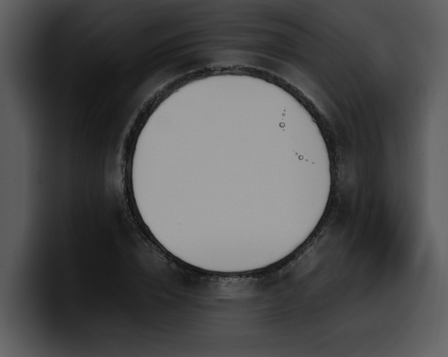 X0000100770832200806191239