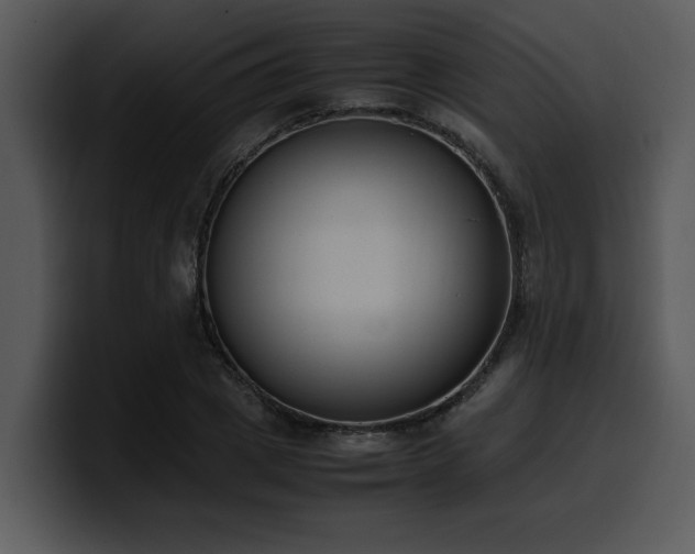 X0000100770833200806191239
