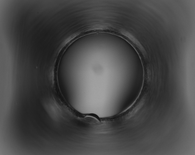 X0000100770834200806191239