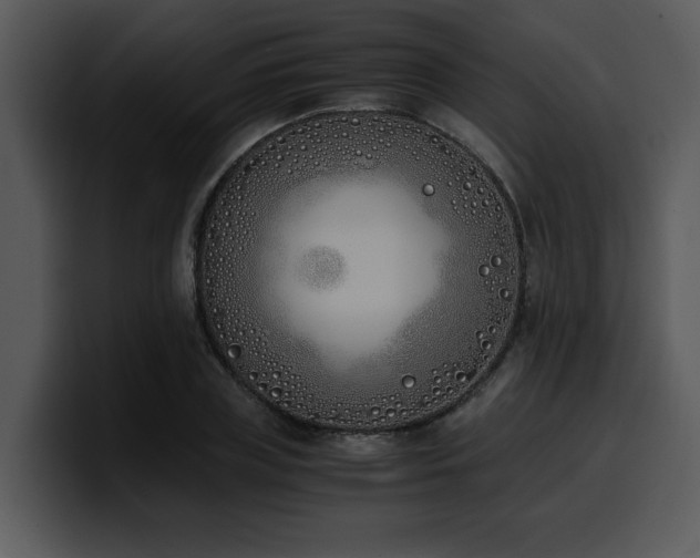 X0000100770835200806191239