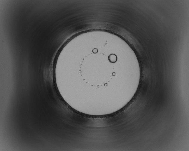 X0000100770836200806191239