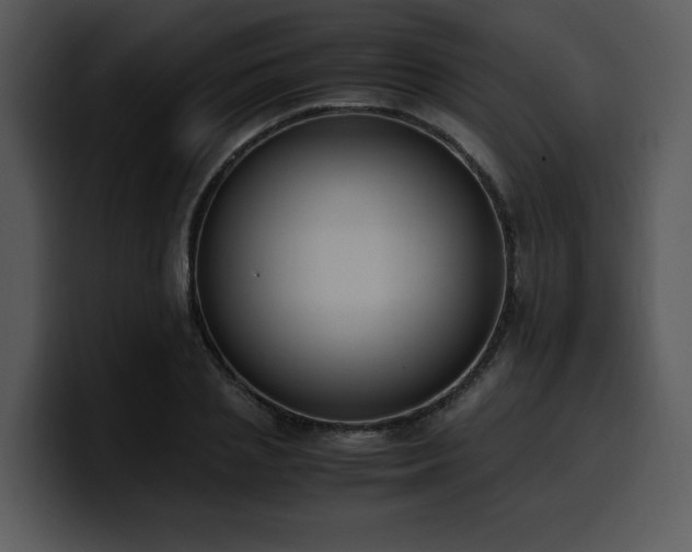 X0000100770837200806191239