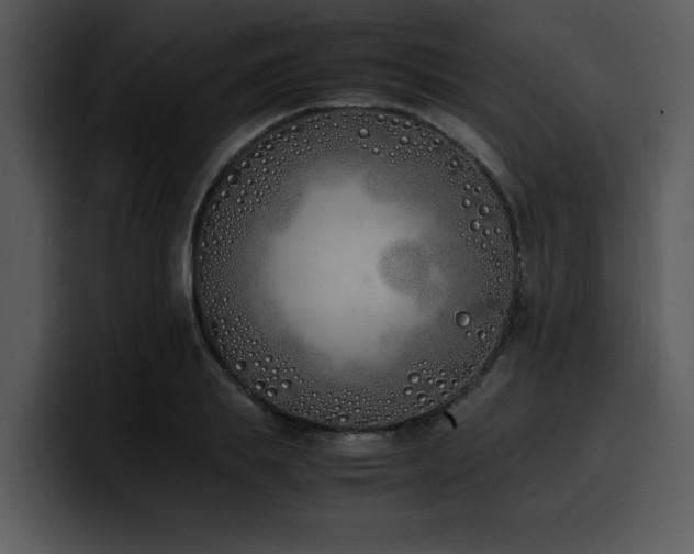 X0000100770839200806191239
