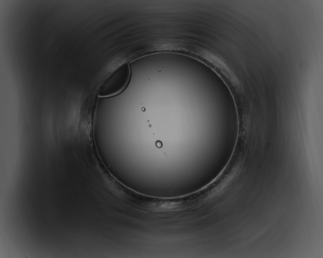X0000100770841200806191239