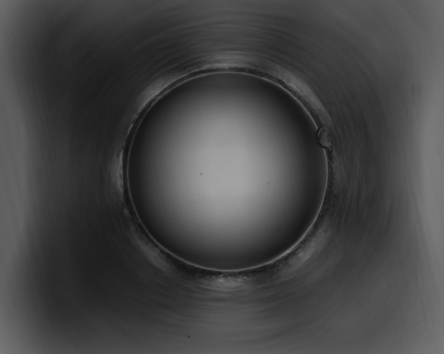 X0000100770842200806191239