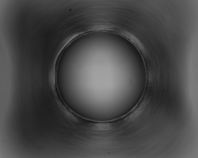 X0000100770844200806191239