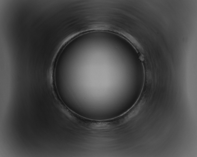 X0000100770846200806191239