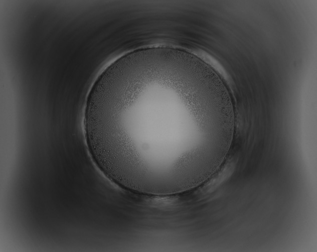 X0000100770847200806191239