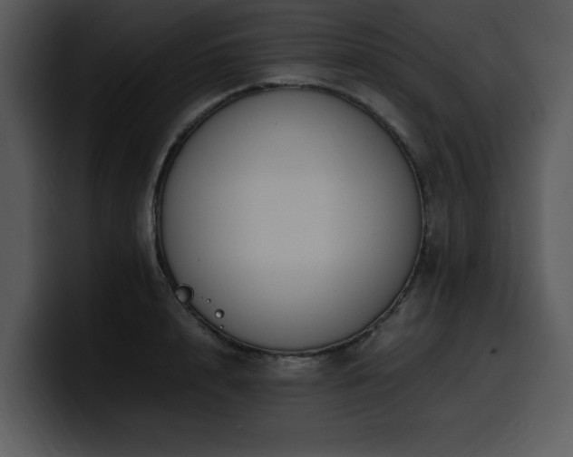 X0000100770848200806191239