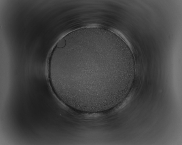 X0000100770851200806191239