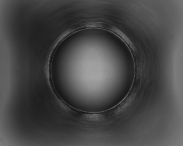X0000100770853200806191239