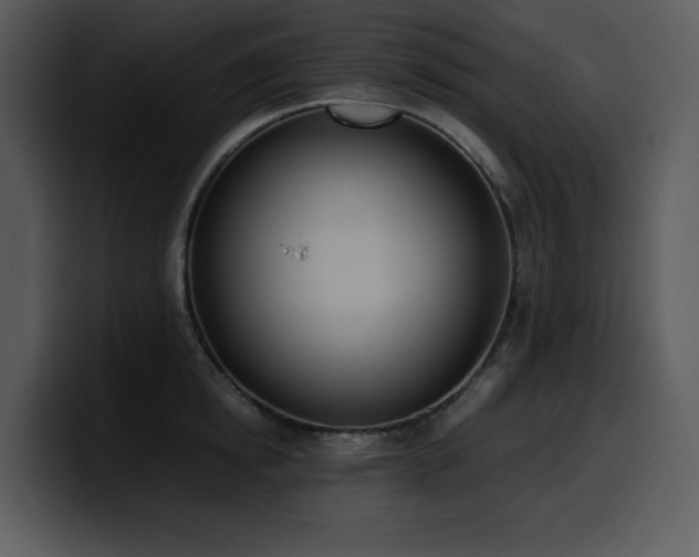 X0000100770854200806191239
