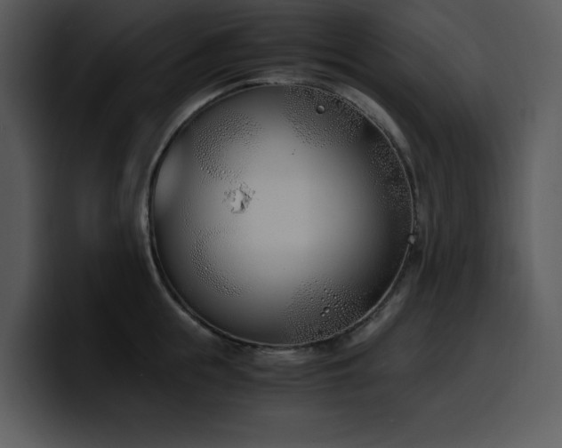 X0000100770855200806191239