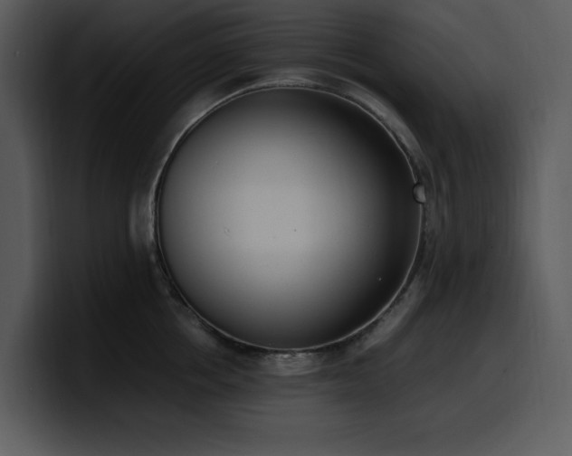 X0000100770858200806191240