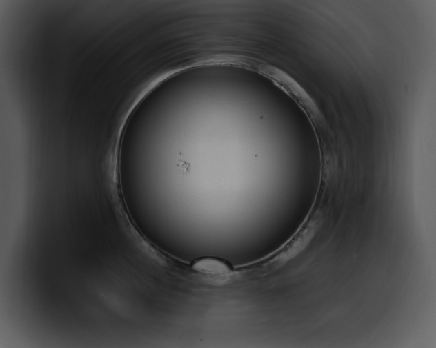 X0000100770860200806191240