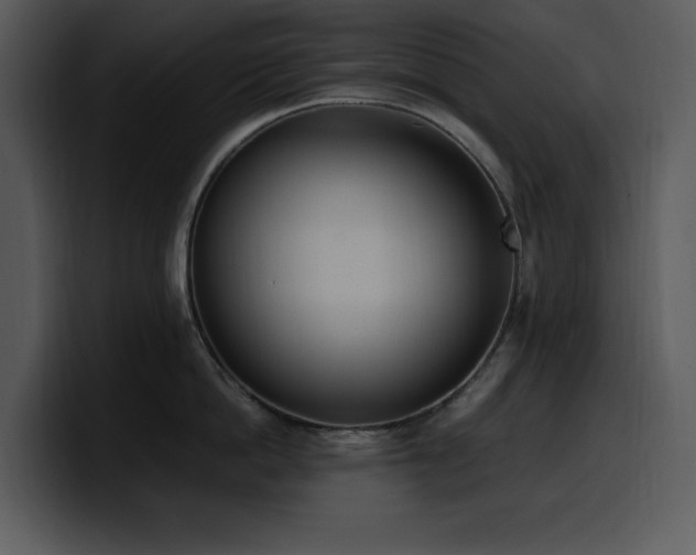 X0000100770862200806191240