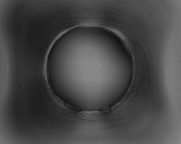 X0000100770864200806191240