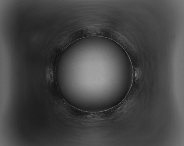 X0000100770867200806191239
