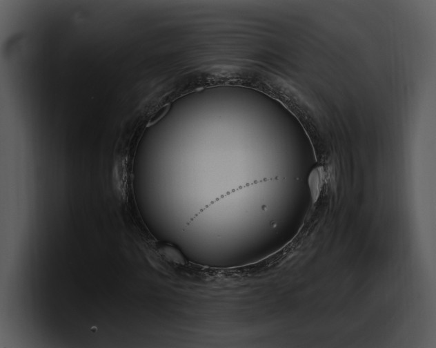 X0000100770868200806191239