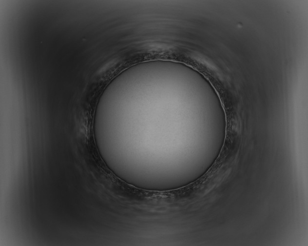 X0000100770869200806191239