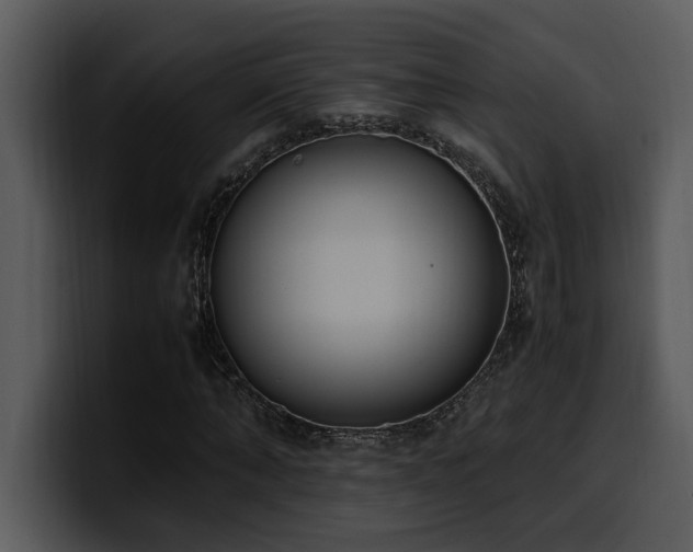 X0000100770870200806191239