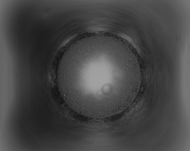 X0000100770871200806191239