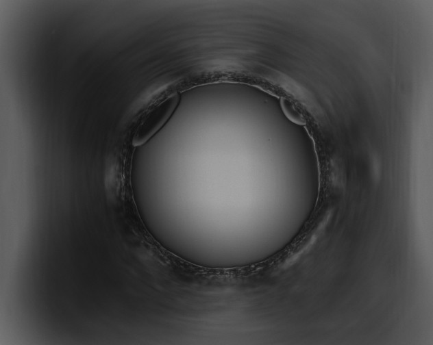 X0000100770872200806191239