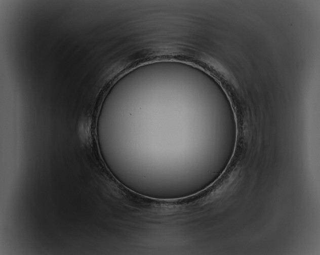 X0000100770873200806191239