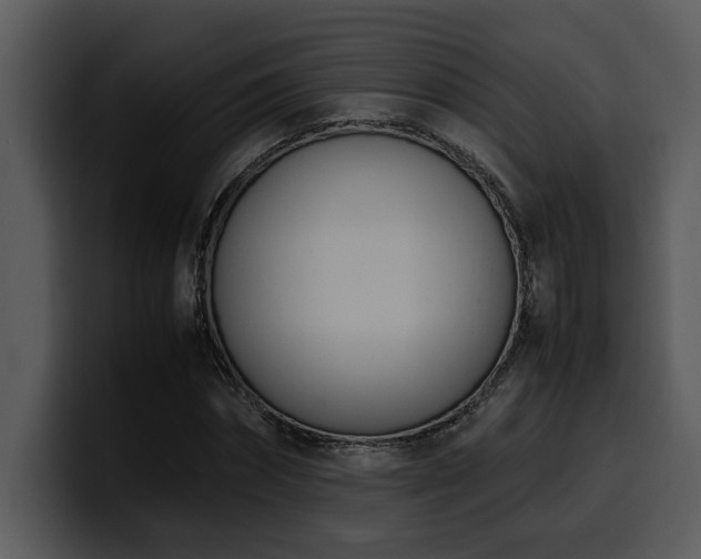 X0000100770874200806191239