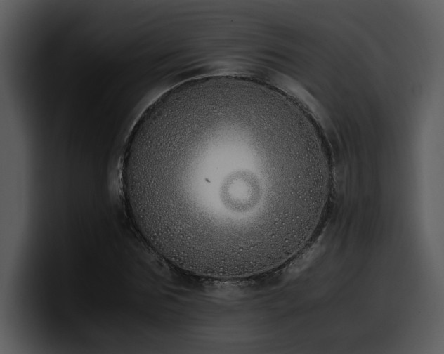 X0000100770875200806191239