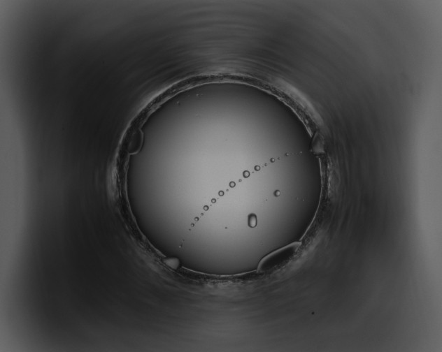X0000100770876200806191239